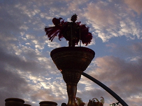 P7160120